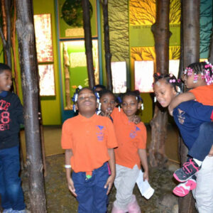 MMSA - Milwaukee Public Museum - 12162013