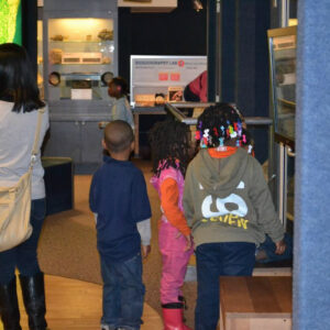 MMSA - Milwaukee Public Museum - 12162013