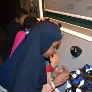 MMSA - Milwaukee Public Museum - 12162013