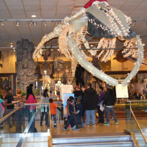 MMSA - Milwaukee Public Museum - 12162013