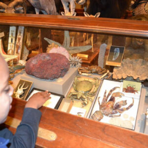 MMSA - Milwaukee Public Museum - 12162013