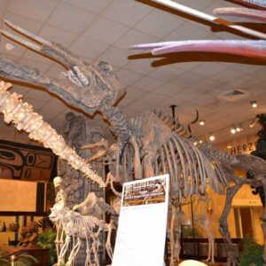 MMSA - Milwaukee Public Museum - 12162013