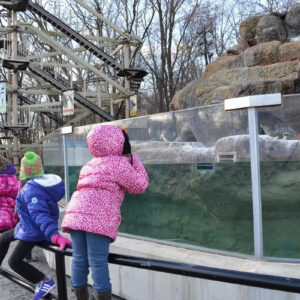MMSA - Milwaukee Zoo Field Trip - 12202013