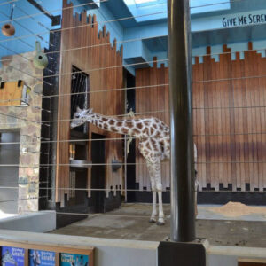 MMSA - Milwaukee Zoo Field Trip - 12202013