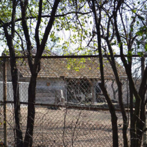 MMSA - Milwaukee Zoo Field Trip - 12202013