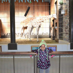 MMSA - Milwaukee Zoo Field Trip - 12202013