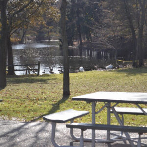 MMSA - Milwaukee Zoo Field Trip - 12202013